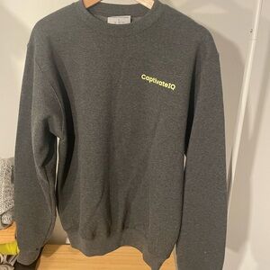Champion Dark Gray Crewneck Sweater